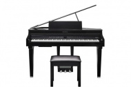 KURZWEIL CUP G1W BP �������� �����