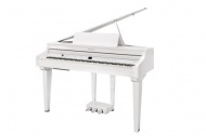 KURZWEIL CUP G1W WHP �������� �����