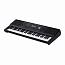 ���������� Roland E-X20