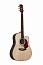 ������ ������������ Maton ER90C
