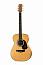 ������ ������������ Maton EBG808-ARTIST