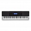 ���������� Casio WK-240