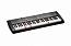 ���������� Casio LK-125