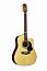 ������ ������������ Maton TE1