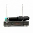   Audiovoice WL-21VM