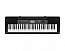 ���������� CASIO CTK-2500
