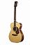 ������ ������������ Maton EBG808TE
