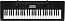 C��������� CASIO CTK-3500 