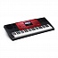 ���������� Casio CTK-6250