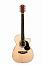 ������ ������������ Maton EBG808C