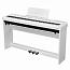�������� ������� Emily Piano dream 20 WH
