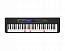 ���������� Casio LK-S450