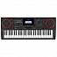 ���������� Casio CT-X5000