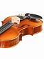 ������� ANDREW FUCHS M-2 4/4